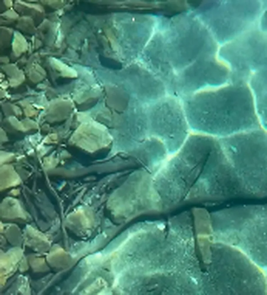 Agua transparente del lago sobre un fondo de piedras